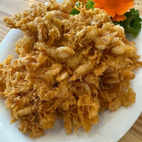 Fried baby shrimp, photographed